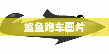 鲨鱼跑车图片  第1张