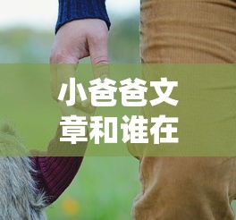 小爸爸文章和谁在一起  第1张