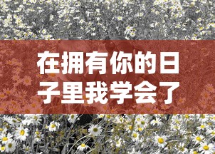 昌河北斗星汽车官网  第1张