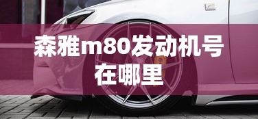 森雅m80发动机号在哪里  第1张