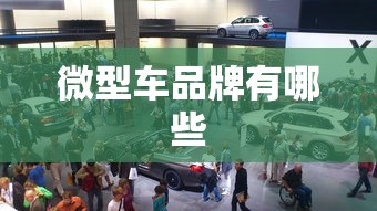 微型车品牌有哪些  第1张
