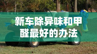 新车除异味和甲醛最好的办法  第1张