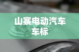 山寨电动汽车车标  第1张