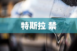 特斯拉 禁  第1张