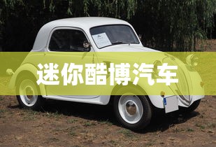 迷你酷博汽车  第1张
