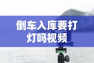 倒车入库要打灯吗视频  第1张