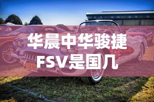 华晨中华骏捷FSV是国几  第1张