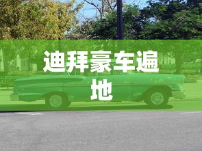 迪拜豪车遍地  第1张