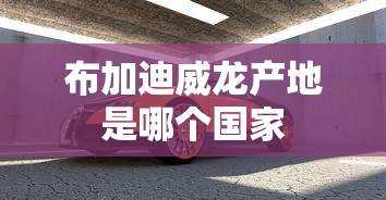 布加迪威龙产地是哪个国家  第1张