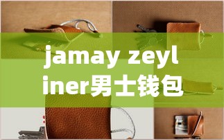 jamay zeyliner男士钱包  第1张