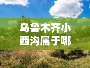 乌鲁木齐小西沟属于哪个区  第1张