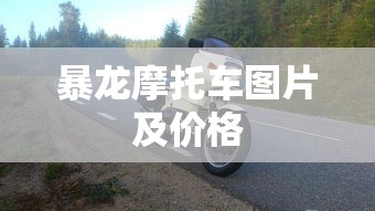 暴龙摩托车图片及价格  第1张