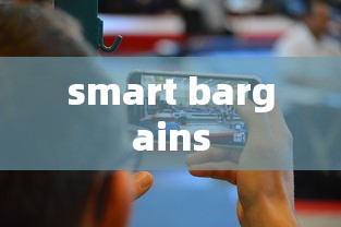 smart bargains  第1张