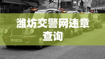 潍坊交警网违章查询  第1张