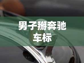 男子掰奔驰车标  第1张