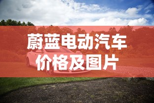蔚蓝电动汽车价格及图片  第1张