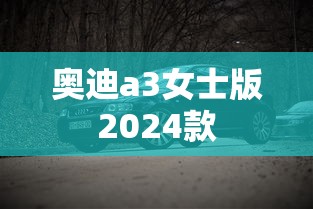 奥迪a3女士版2024款  第1张