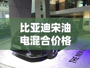 比亚迪宋油电混合价格2021款dmi  第1张