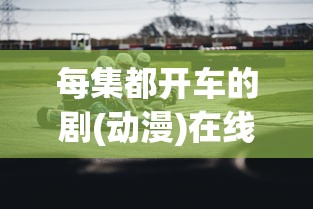 每集都开车的剧(动漫)在线观看  第1张