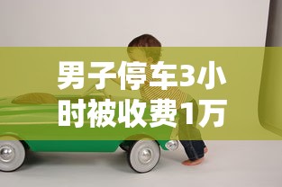 男子停车3小时被收费1万2是真的吗  第1张