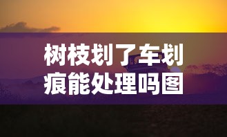 树枝划了车划痕能处理吗图片  第1张