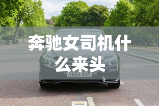 奔驰女司机什么来头  第1张