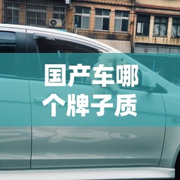 国产车哪个牌子质量好省油便宜  第1张