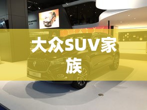 大众SUV家族  第1张
