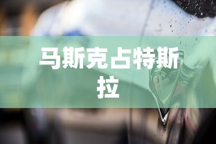 马斯克占特斯拉  第1张