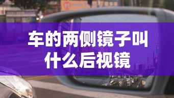 车的两侧镜子叫什么后视镜  第1张