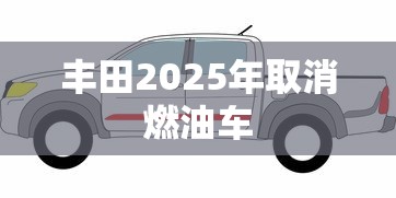 丰田2025年取消燃油车  第1张