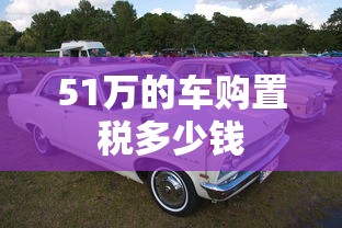 51万的车购置税多少钱  第1张