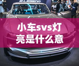 小车svs灯亮是什么意思  第1张