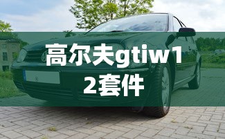 高尔夫gtiw12套件  第1张