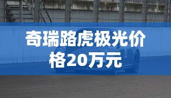 奇瑞路虎极光价格20万元  第1张