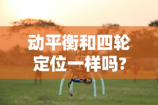 动平衡和四轮定位一样吗?  第1张