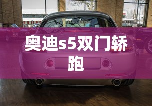 奥迪s5双门轿跑  第1张