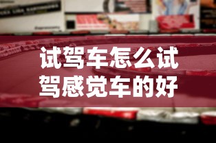 试驾车怎么试驾感觉车的好不好  第1张