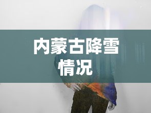 内蒙古降雪情况  第1张
