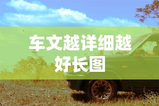 车文越详细越好长图  第1张