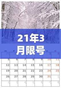 21年3月限号  第1张
