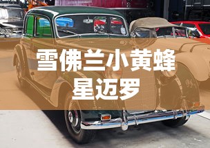 雪佛兰小黄蜂星迈罗  第1张