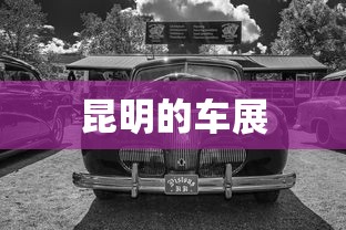 昆明的车展  第1张