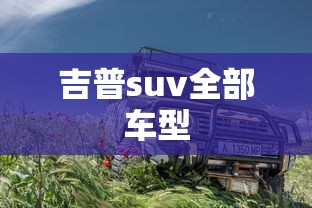 usd是什么币的缩写  第1张