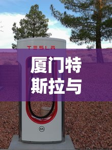 厦门特斯拉与电动车相撞致4人受伤  第1张