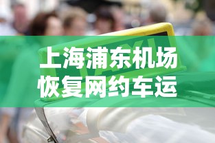 上海浦东机场恢复网约车运营服务!  第1张
