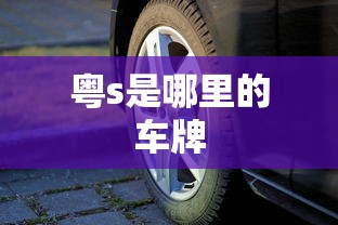 粤s是哪里的车牌  第1张