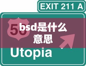 bsd是什么意思  第1张