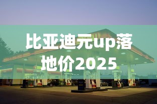 比亚迪元up落地价2025  第1张