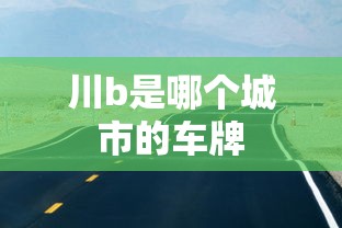 川b是哪个城市的车牌  第1张